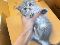 -佳雯宠物医院·皮肤科·内外科(春晓路分院)