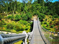 -东莞植物园