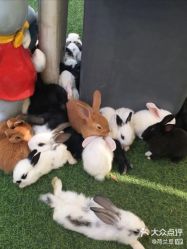 -萌宠亲子动物乐园(槐房万达店)