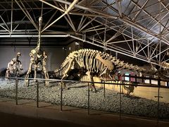 -世界恐龙谷景区