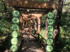 -大岭沟猕猴桃谷风景区