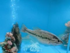 -怡咖啡·自助餐·西安香格里拉