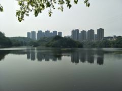 -重庆彩云湖湿地公园