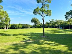 -上海吴淞炮台湾国家湿地公园