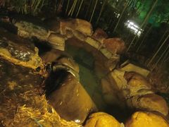 -咸宁万豪温泉谷度假区