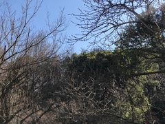 -杭州植物园