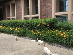-浙江大学(海宁国际校区)