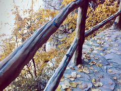 -嵩山少林文化旅游景区