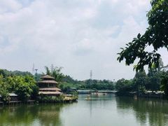 -观澜山水田园