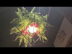 -鼎原力量东北吊炉烧烤(临河街店)