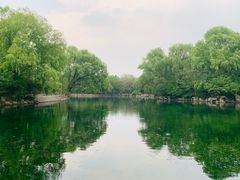 -百脉泉景区