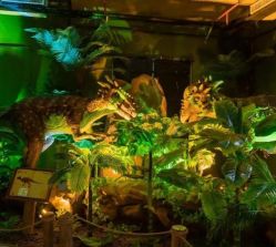 -恐龙探索乐园(磁器口店)