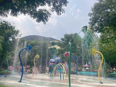 -苏州乐园森林水世界