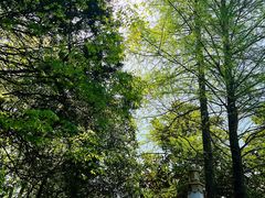 -狼山风景名胜区