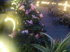 -楠柏弯休闲山庄(梨花溪店)