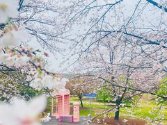 -上海辰山植物园