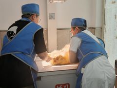 -狗舍宠物医院(四季商业广场店)