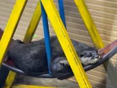 -太平洋海底世界