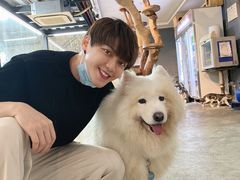 -more than meow吴止猫主题餐厅(承德 中船汇店)