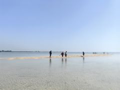 -北海金海湾红树林生态旅游区