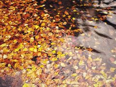 -叠溪松坪沟景区