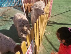 -萌宠亲子动物乐园(槐房万达店)