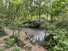 -桤木河湿地公园