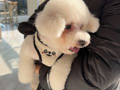 -德元·美联众合24小时动物医院(总院)