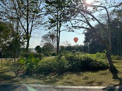 -中国科学院西双版纳热带植物园