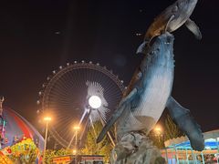 -海合安武汉极地海洋公园