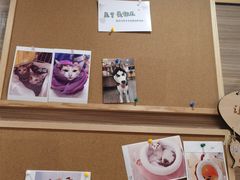 -严国平动物医院(德政总院)