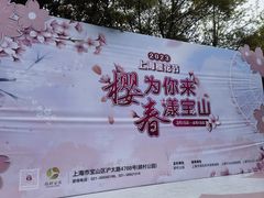 -顾村公园