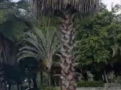-亚龙湾站