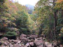 -花岩国家森林公园