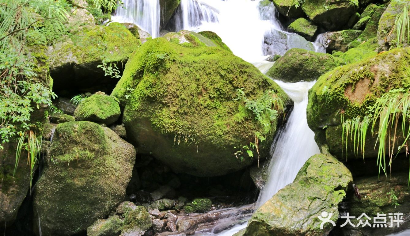 宜昌小众旅游好去处——三峡竹海景区