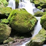 宜昌小众旅游好去处——三峡竹海景区