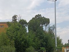 -上海玛雅海滩水公园