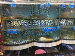 -揭阳钟记小食(福田新村店)