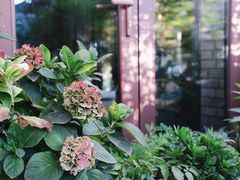 -IFIF 如果花園(宽厚里店)