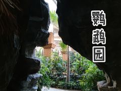 -南宫五洲植物乐园