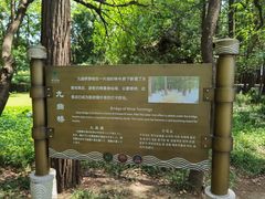 -东湖落雁景区