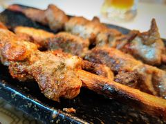 红柳烤肉-新粤新疆菜(禅城店)