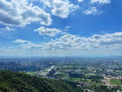 -杭州半山国家森林公园