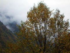 -叠溪松坪沟景区