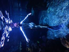 -太平洋海底世界