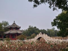 -莲池书院博物馆