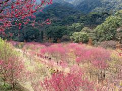 -福清灵石山国家森林公园