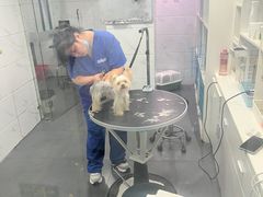 -萌兽医馆·宠物医院·猫骨科(创景店)