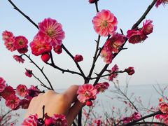 -苏州吴中太湖旅游区