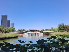 -西海子公园
